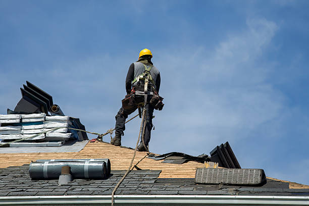 Professional Roof Replacement technician working in Brownsville, KY